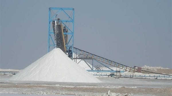 تصدير الملح من مصر - دليل شامل ملح المائدة وملح صناعة الأغذية